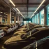 Rzędy zaparkowanych samochodów w wielopoziomowym parkingu, długie świetlówki pod betonowym sufitem